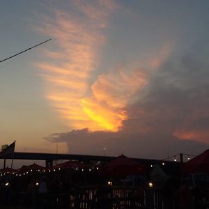 Meet your Posher, Lynn